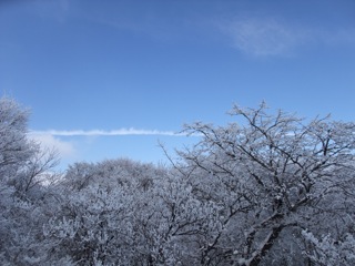 霧氷ツアー2010
