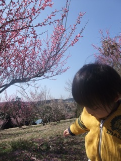 農業公園へ