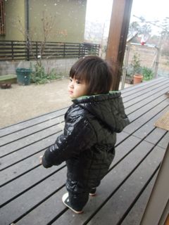 雪が降ってきた。