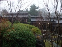 桜湯へ・・・。