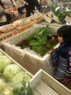 姫ぱんゲッチュぅぅ。