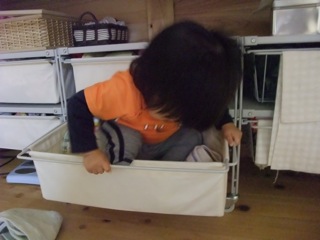 採ったどぉぉぉ!!