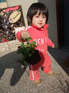 採ったどぉぉぉ!!
