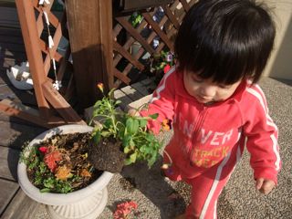 採ったどぉぉぉ!!