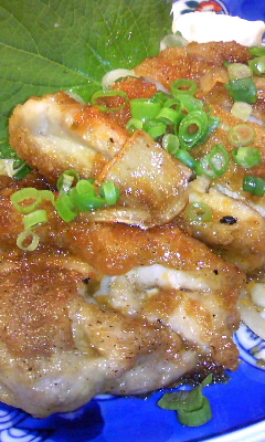 磯焼き 庄八(大分市中央町)