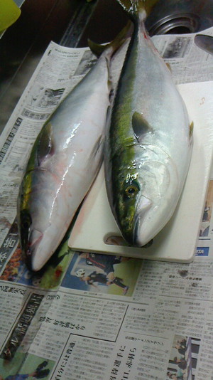釣り好きなお客様から