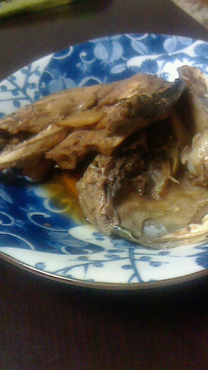 65センチの魚