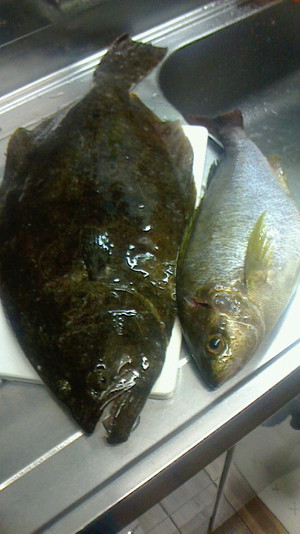 釣り好きなお客様から
