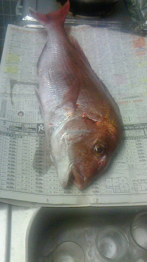 釣り好きなお客様から