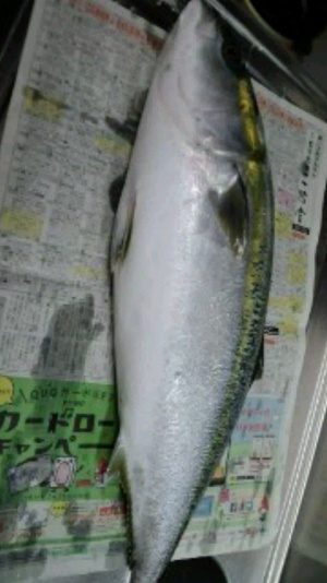 釣り好きなお客様から