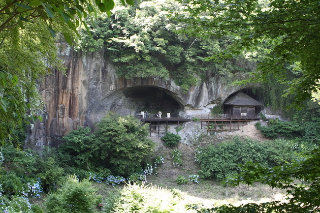 紫陽花