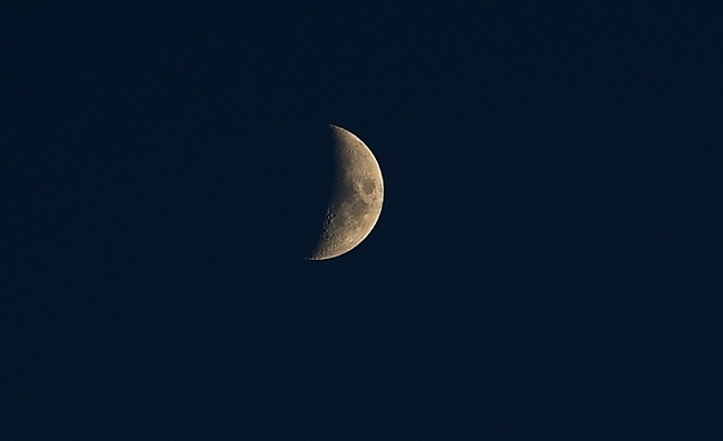 眠れぬ夜は君のせい