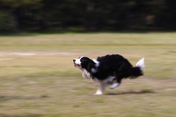消えた休日