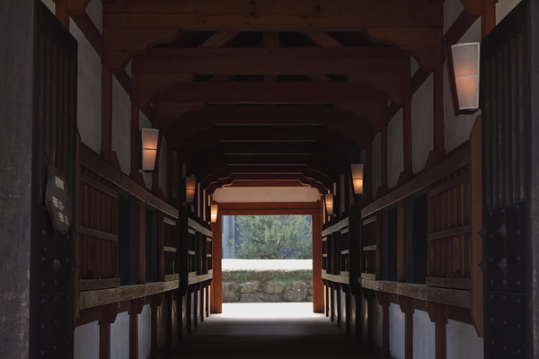 アートプラザ周辺