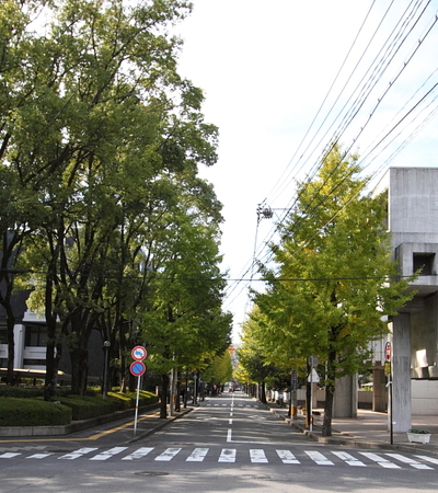 アートプラザ周辺