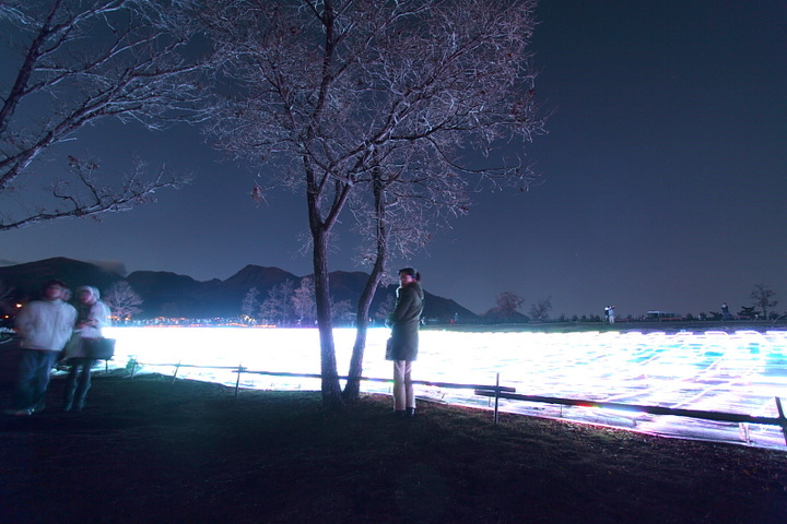 花公園 光ファンタジア2