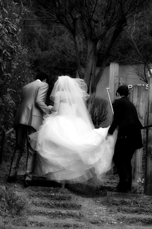 Special Day