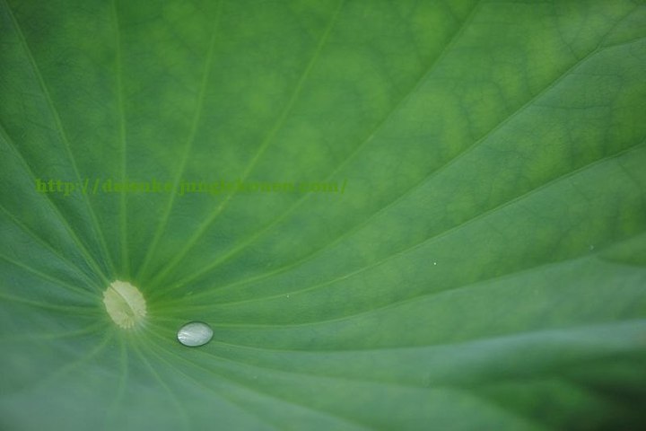 蔵