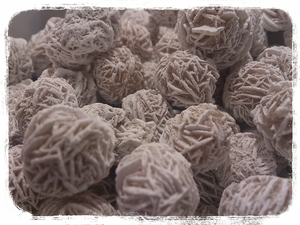 Desert Rose.