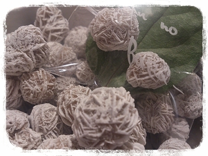 Desert Rose.