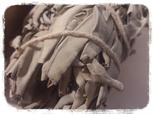 Desert Rose.