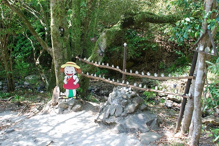 佐伯市宇目町 「トトロのバス停・キャンプ場・獅子料理」