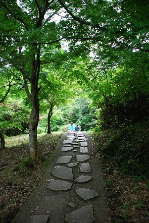 竹田市荻町 「おいしい空気と白水の滝(しらみずのたき)」