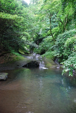 竹田市荻町 「おいしい空気と白水の滝(しらみずのたき)」
