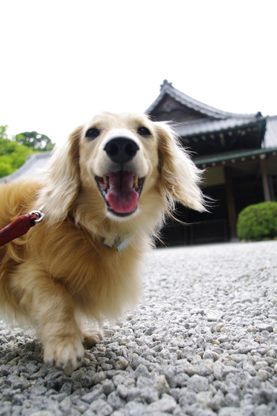 掃除・・・