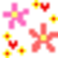 ６月のレッスン♪