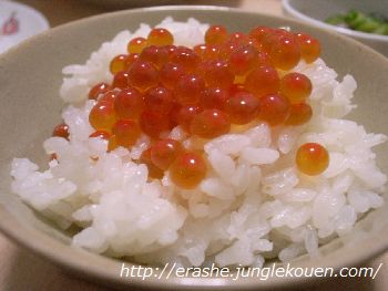 ダイエットのコツイメージ画像