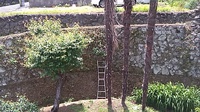 少しずつしか進まない