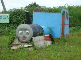 玉虫色のタマムシ