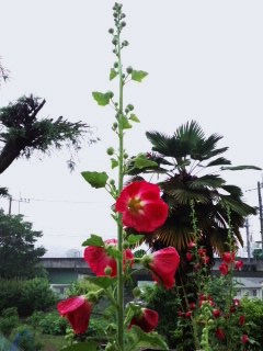 上宗方の(*^^)伝説
