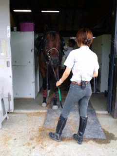 乗馬クラブ　クレイン湯布院に(≧∨≦)行ってました