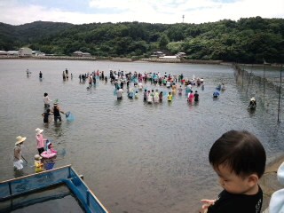 鯛(^O^)／採ったぞ♫注意“おきまり”あります