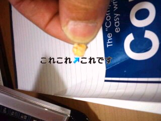 えたいのしれなものわ(*^^)無暗に喰わない