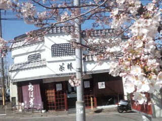 花よりだんご!で茶朗(^O^)/行きました