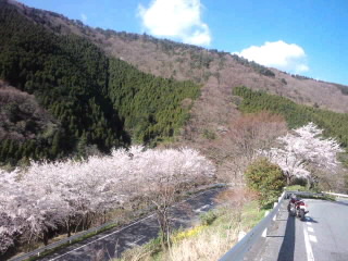 かくれんぼ