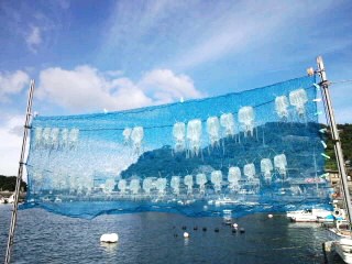 天気の良い日は(^O^)／タコを干せ