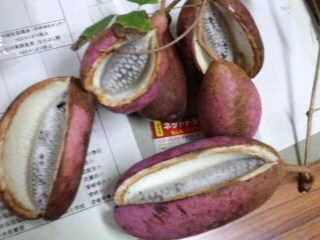 世の中そんなに(≧∇≦)甘くない