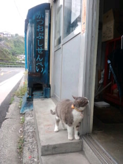 高市商店(^O^)/かつぶしせんべい