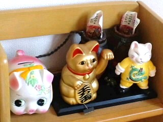 みゃんこさんわヽ(^o^)丿じょうきげん♫