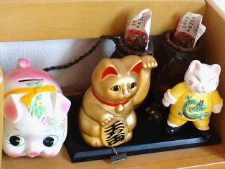 みゃんこさんわヽ(^o^)丿じょうきげん♫