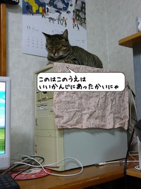 いい感じにゃ♪