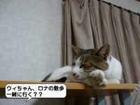これはなに？？