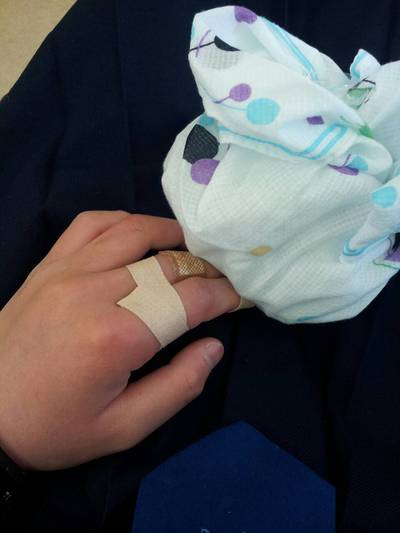 ななごんの災難 ななごんの災難