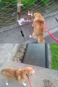 病院へは早めに行きましょう