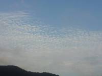 秋の朝だよ～～