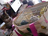 ジュラシック・ワールドを観ました